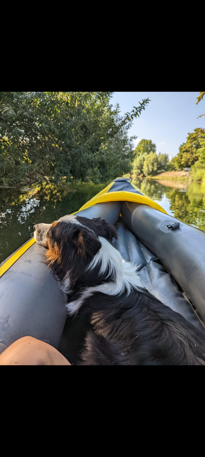 Was gibt es schöneres, als unter dem blauen Sommerhimmel im Kanu auf der Lippe gefahren zu werden. Das findet Neo, der Hund von Eva Lehmann aus Lippstadt.