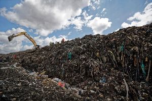 Auf einer Müllhalde in Kenia wurden Leichenteile gefunden (Symbolbild). - Foto: Ben Curtis/AP/dpa
