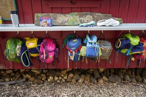 Laut Umfrage unter Kitaleitungen erschweren mehrere Faktoren eine Natur-Bildung der Jüngsten. (Symbolbild) - Foto: Frank Rumpenhorst/dpa