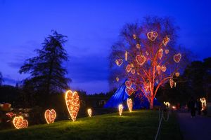 Viele bunte Lichter zu Weihnachten: Besucher sind im «Christmas Garden» im Loki-Schmidt-Garten in Hamburg unterwegs. - Foto: Christian Charisius/dpa