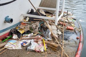 In Amsterdam bauen Blässhühner ihre Nester auch auf menschengemachte Untergründe - und mit menschengemachtem Plastik. - Foto: Auke-Florian Hiemstra/dpa