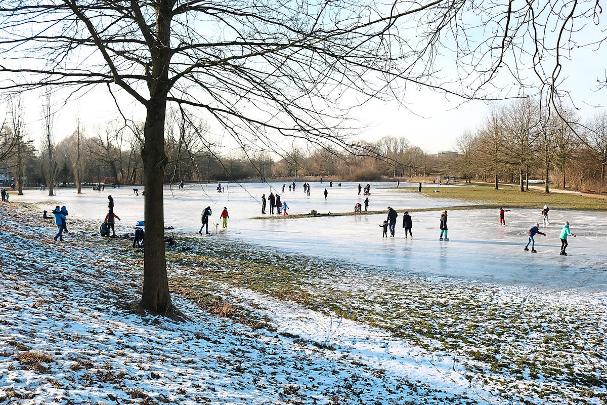 Die Hundewiese im Grünen Winkel wurde im Winter durchaus mal zur Eisbahn: Doch noch will die Stadt die Wiese nicht fluten lassen. Archivfoto: Wapelhorst