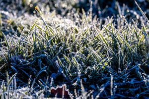 Noch ist es frostig, doch es nähert sich eine Warmfront. - Foto: Jens Büttner/dpa