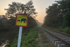 Ein Hinweisschild warnt vor wilden Elefanten. (Foto aktuell) - Foto: Priyan Malinda/AP/dpa