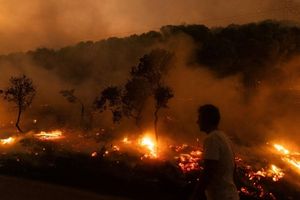 Der Waldbrand in der Nähe der griechischen Stadt Alexandroupolis im Jahr 2023 war der größte bisher registrierte Brand in Europa. (Archivbild) - Foto: Achilleas Chiras/AP/dpa