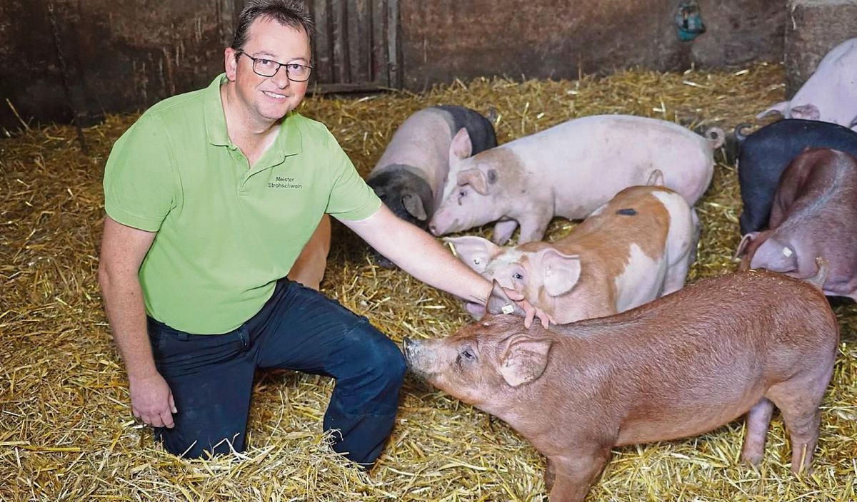 Dass seine Schweine es im Stall gut haben, mit frischem Stroh, viel Platz, Luft und Licht, ist Markus Weber wichtig.