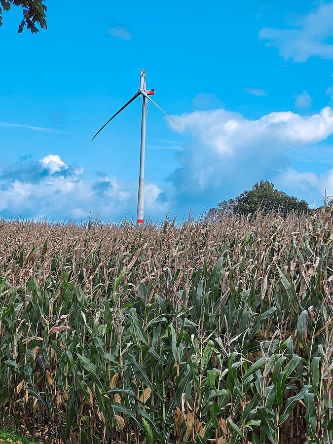 Am Freitag ist an einem Windrad in Langenberg ein 80-Meter-Flügel abgeknickt. Am Samstagmorgen gaben die Behörden Entwarnung in der Nina-App. Foto: Schwade