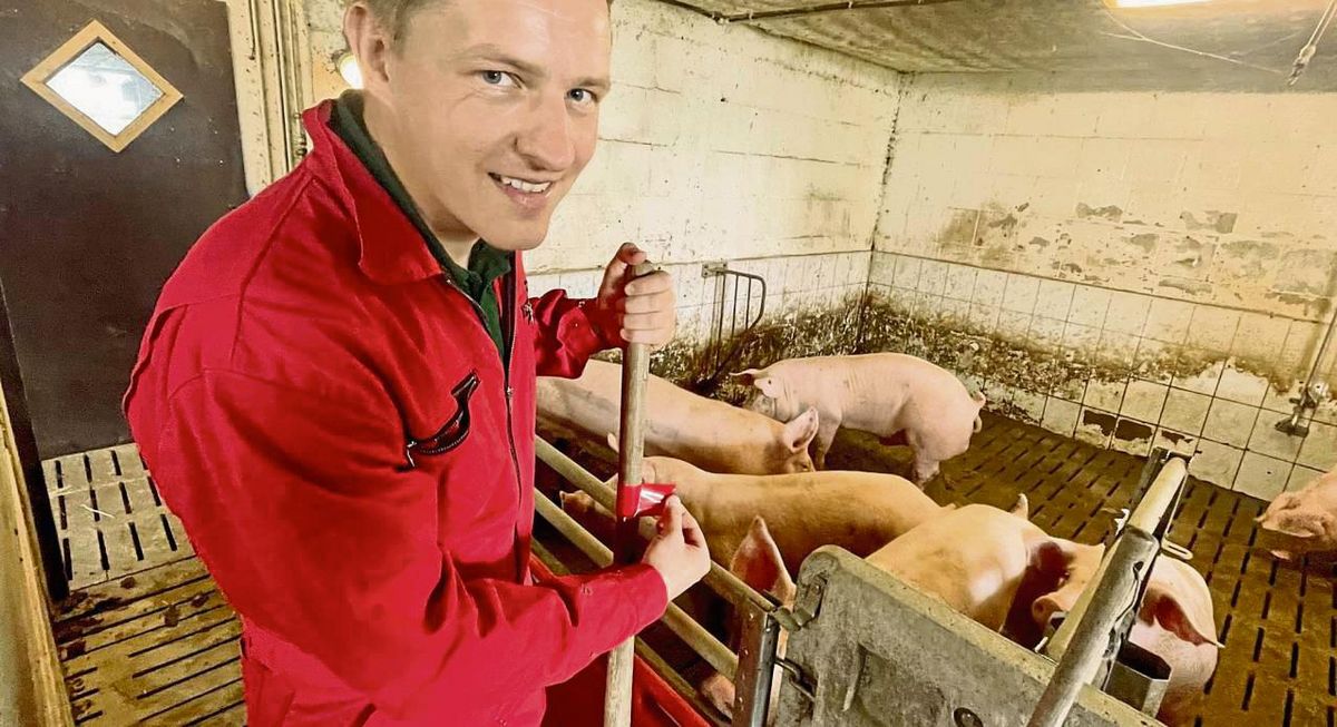 Jeder Stall hat seine eigene Farbe. Für die Mastställe sind die Overalls, Treibbretter, Besen und Schüppen rot, für den Sauenstall grün. Für Draußen gibt’s eine eigene Farbe. Fotos: Vielberg