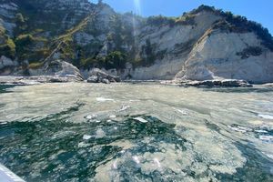 Das Phänomen Algenschleim ist schon lange bekannt. Vermutlich begünstigen heiße Sommer ein verstärktes Algenwachstum in der Adria. - Foto: Roberto Danovaro/dpa