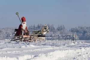 Viele stellen sich ideale Weihnachten so vor: Drinnen leuchtet der Baum, draußen türmt sich der Schnee. (Archivbild) - Foto: Thomas Warnack/dpa