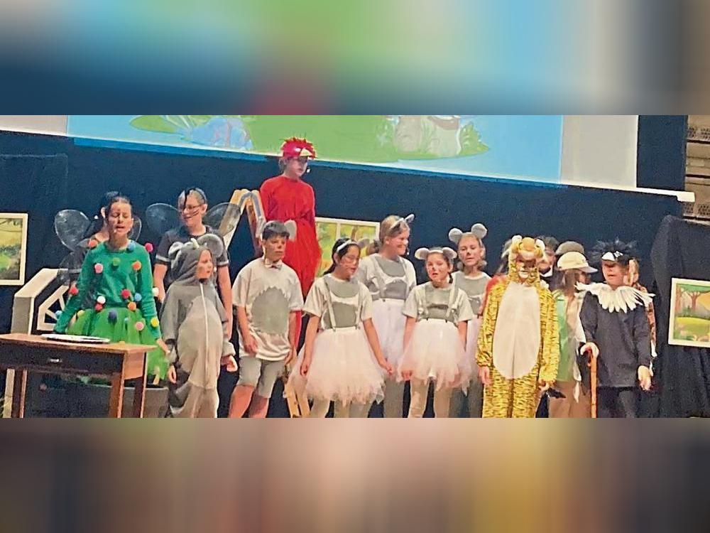 Lebhaft und lustig: Die Musical-AG der Marienschule überzeugt mit „Tikko Tiger und die Tiere der Madame“. Foto: Frenz