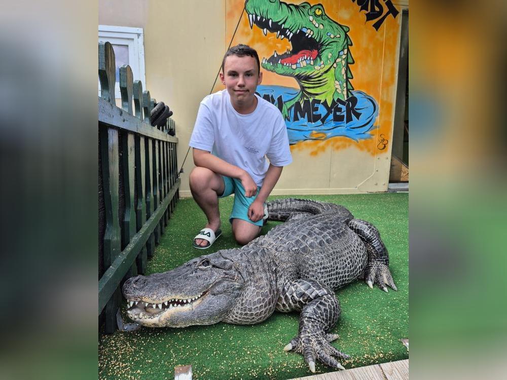 Liam (14) aus Anröchte ist ein mutiger Junge: Der Ostsee-Alligator „Frau Meyer“ ist mit 44 Lenzen mehr als dreimal so alt wie er. Das Reptil war früher im Zirkus auf Reisen und verbringt nun seinen Lebensabend in Elmenhorst.