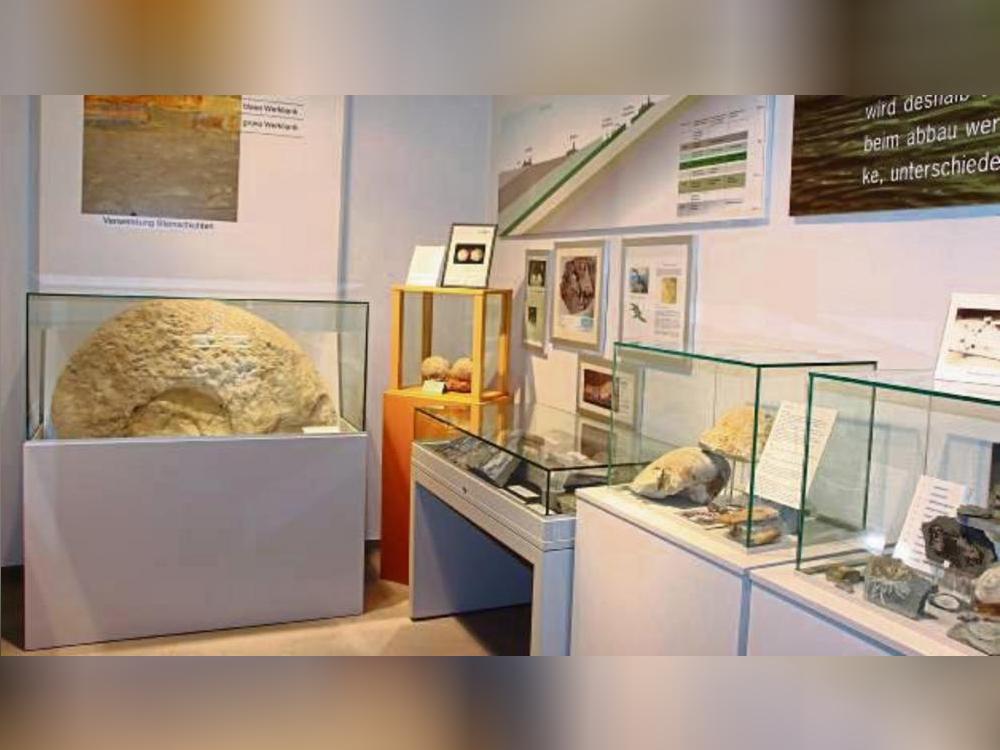 Vielseitig ist die Fossiliensammlung im Steinmuseum.