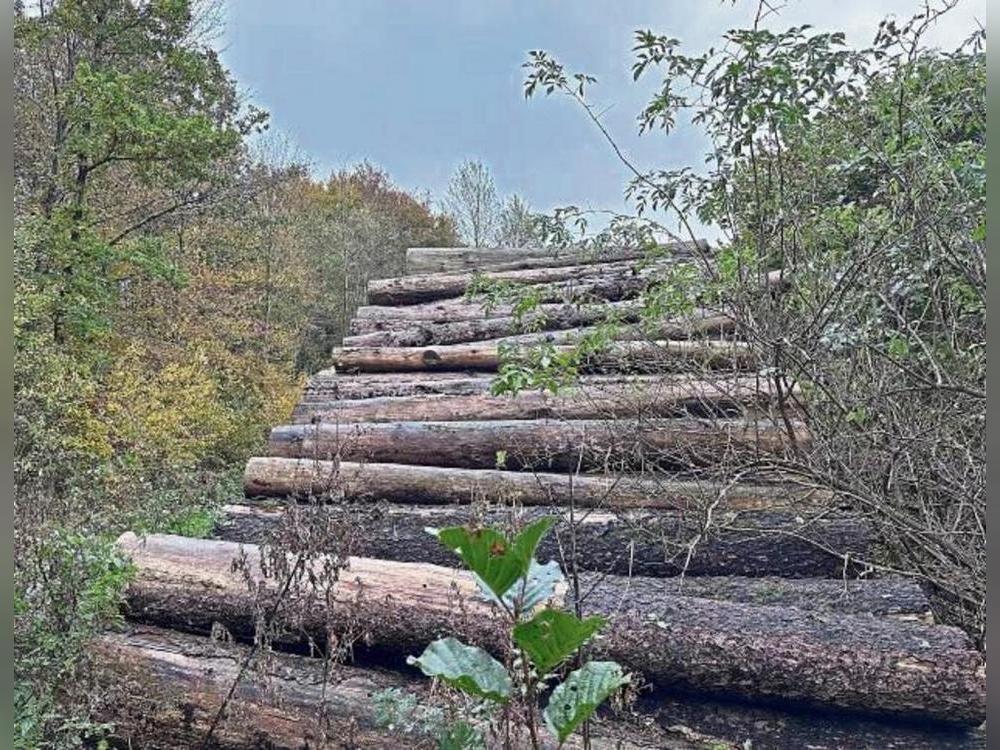 In Kallenhardt ist das Brennholz für die kommende Saison verkaufsfähig. Foto: Bsdurek