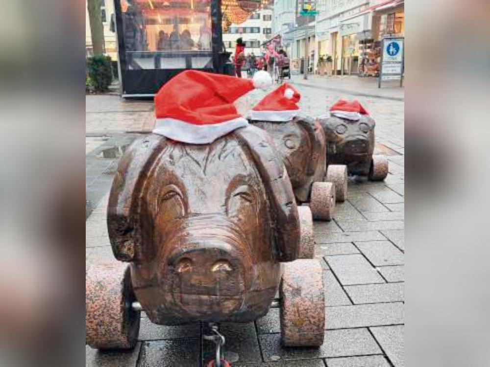 Die Holzschweine zeigen sich schon einmal in vorweihnachtlicher Stimmung.