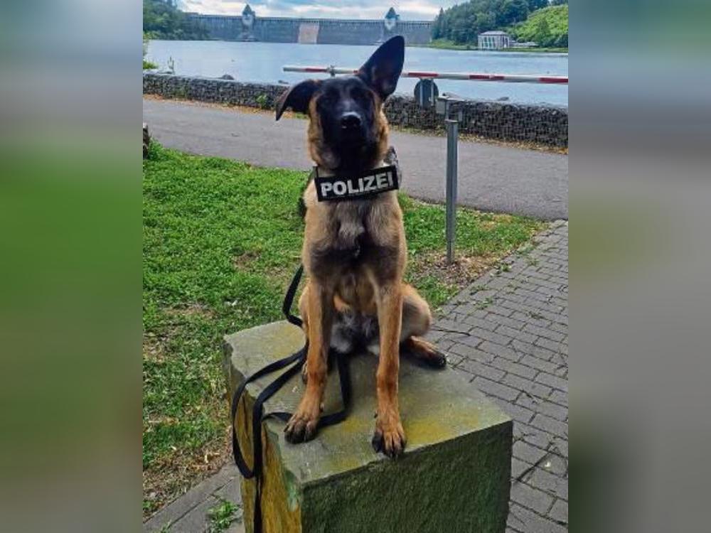 Verbrecher, nehmt euch in Acht: Kommissarin Luna ist bald im Kreis Soest im Einsatz. Foto: Polizei