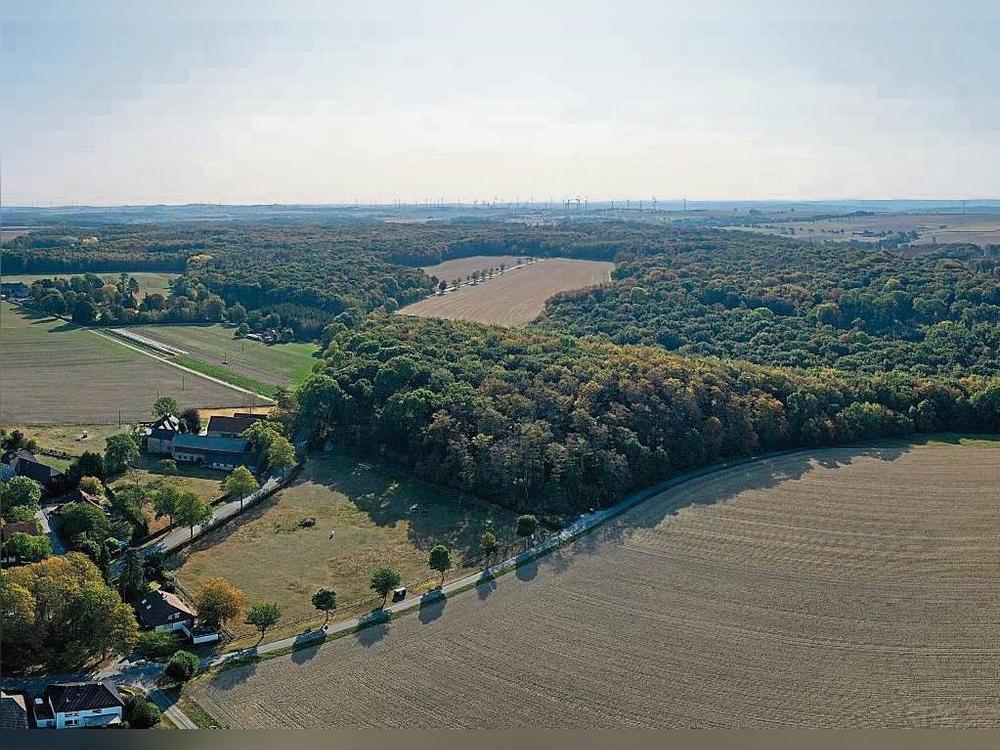 Ein Waldgürtel erstreckt sich vom Westen (hier im Bild der Mellricher Wald) bis zur Gemeindegrenze nach Rüthen, wo sich der Nettelstädter Forst anschließt. Foto: Eickhoff