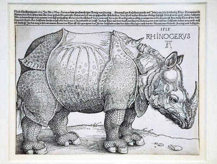 Mit sehr viel Gefühl für kleinste Details hat Dürer diesen Holzschnitt „Rhinozeros“ im Jahr 1515 angefertigt, ohne jemals zuvor ein Nashorn gesehen zu haben. Foto: dpa