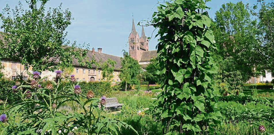 Zuletzt war die Landesgartenschau 2023 in Höxter, die nächste findet 2026 in Neuss statt: Wenn Hendrik Grewe Bürgermeister von Lippstadt wäre, würde er die beliebte Gartenschau nach Lippstadt holen. Archivfoto: Winkelhorst