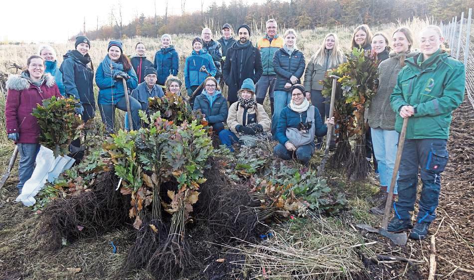 Die Senioren- und Prinzengarde des Karnevalsclubs Kallenhardt hat im Wald mit angepackt und neue Bäume gepflanzt. Foto: Kloer