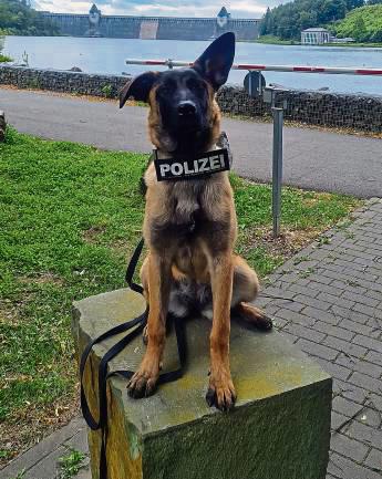 Verbrecher, nehmt euch in Acht: Kommissarin Luna ist bald im Kreis Soest im Einsatz. Foto: Polizei