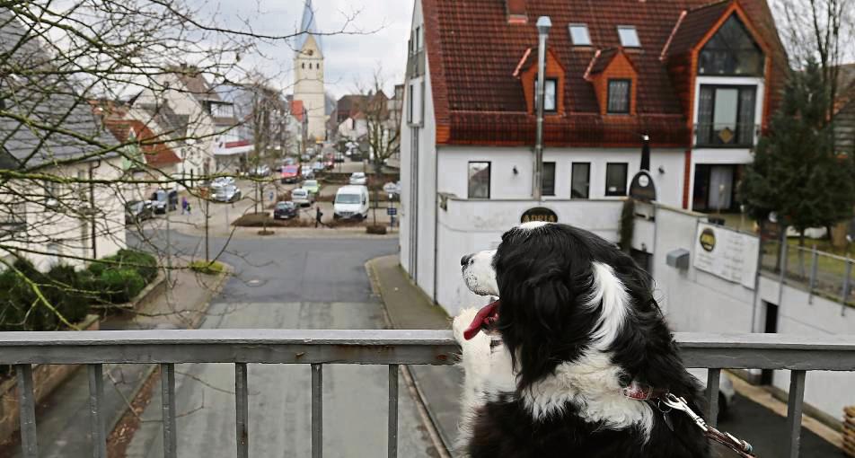 Bei der Hundezählung wird geprüft, ob alle Vierbeiner eine Marke tragen. archivFoto: Rinsche