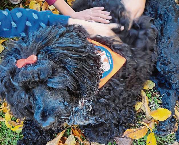 Fröhlich mit dabei: Isabella lehrte den Kindern im Frauenhaus spielerisch, wie man sich einem Hund gegenüber verhält und wie dessen Kommunikation und Körpersprache ist.