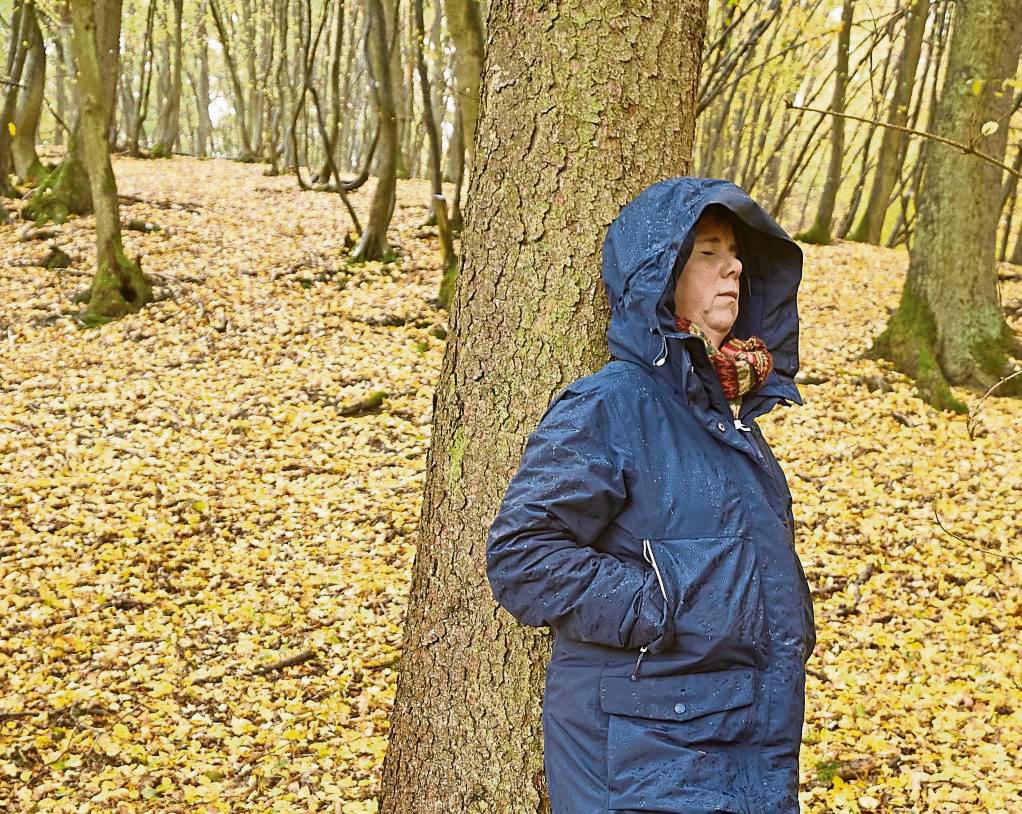 Waldbaden stärkt die Resilienz: Das ist neben Yoga oder Sicherheitstraining eines der Angebote, die die Kreisverwaltung den Mitarbeitern des Kreisjugendamts macht. Foto: dpa