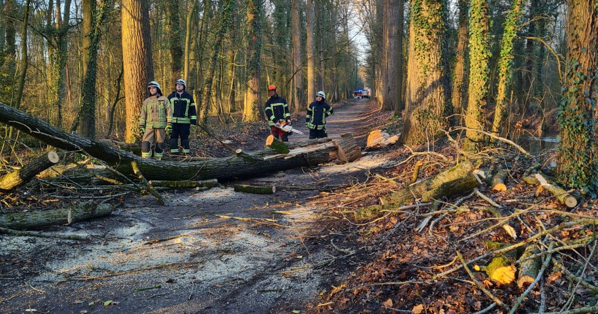Zwei umgestürzte Bäume im Pirschweg/Lippstäder Fichten wurden von der Löschgruppe Lipperode mittels Kettensäge zerkleinert und von der Fahrbahn geräumt. Foto: Löschgruppe Lipperode