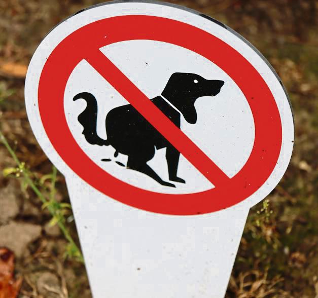 Der Hauptausschuss lehnte die Einführung von Hundebeutelspendern und Abfallbehältern ab. Symbolbild: Dietz