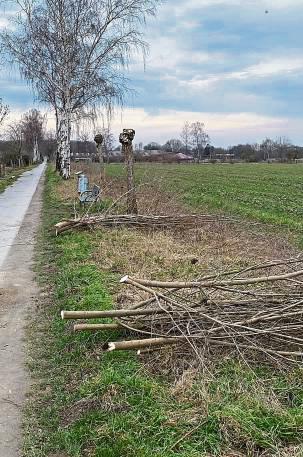 Die Bigo hat Baumpflege betrieben.