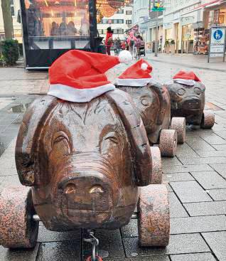 Die Holzschweine zeigen sich schon einmal in vorweihnachtlicher Stimmung.