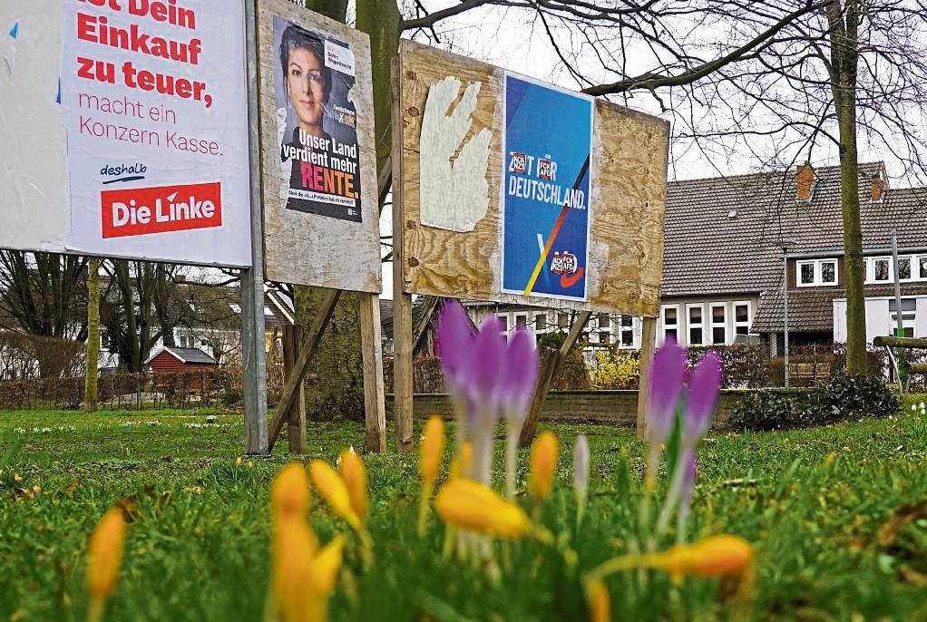 Frühblüher wie Krokusse und Narzissen schießen im Frühjahr als erste aus der Erde und färben Wiesen kunterbunt. Die AfD wirbt gegensätzlich: blau statt bunt. Foto: Vielberg