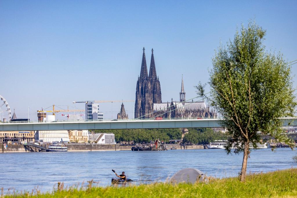 Ein Kajakfahrer rudert auf dem Rhein, im Hintergrund ist der Kölner Dom und die Severinbrücke zu sehen. - Foto: Thomas Banneyer/dpa