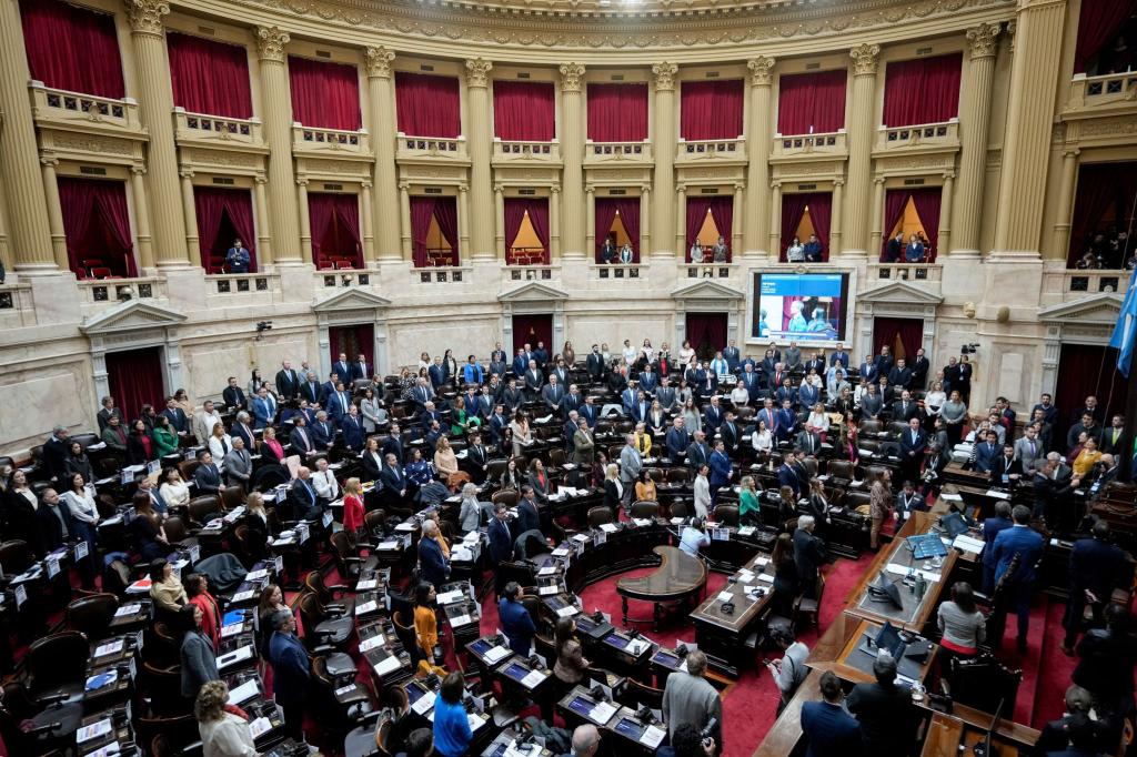 Rund zwölf Stunden debattierten die Abgeordneten des argentinischen Parlaments - und stimmten dann Mileis Reformpaket zu. - Foto: Natacha Pisarenko/AP/dpa