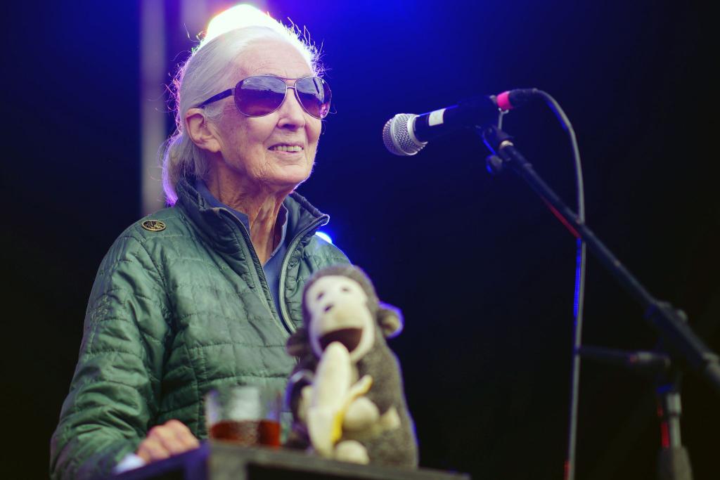 Jane Goodall auf der Greenpeace-Bühne beim Glastonbury Festival in Worthy Farm. - Foto: Ben Birchall/PA Wire/dpa
