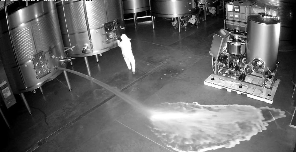 Aufnahme einer Sicherheitskamera: Im Lagerraum der Kellerei Bodegas Cepa 21 wird Wein verschüttet. - Foto: CEPA 21/Europapress/dpa