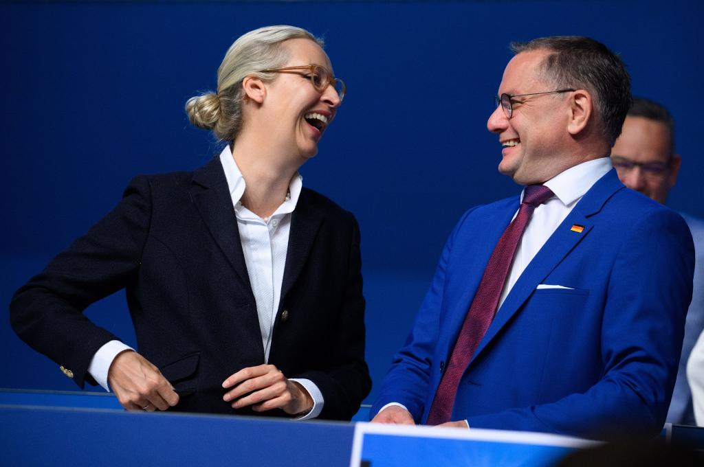 Alice Weidel und Tino Chrupalla bilden auch für die kommenden zwei Jahre die Doppelspitze der AfD. - Foto: Bernd von Jutrczenka/dpa