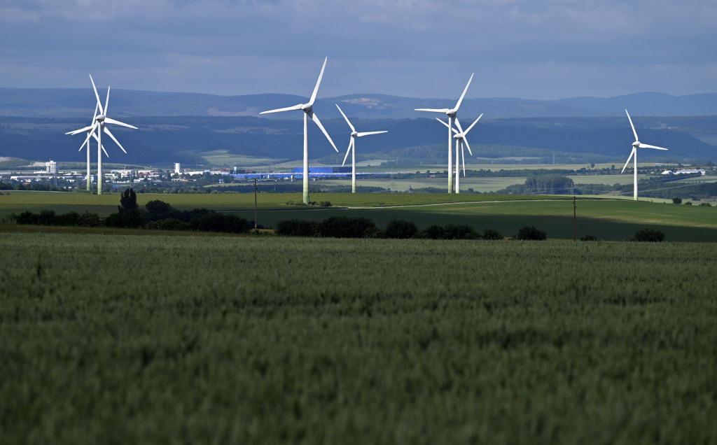 Die Stromerzeugung aus erneuerbaren Energien hat einen Rekord erreicht. - Foto: Martin Schutt/dpa