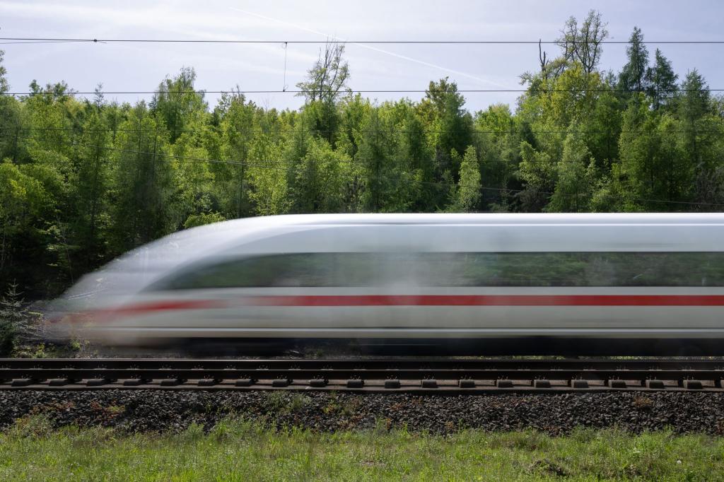 Die Bahn will 2025 nach eigenen Angaben keine Strecken aus dem Fernverkehrsangebot streichen. - Foto: Boris Roessler/dpa