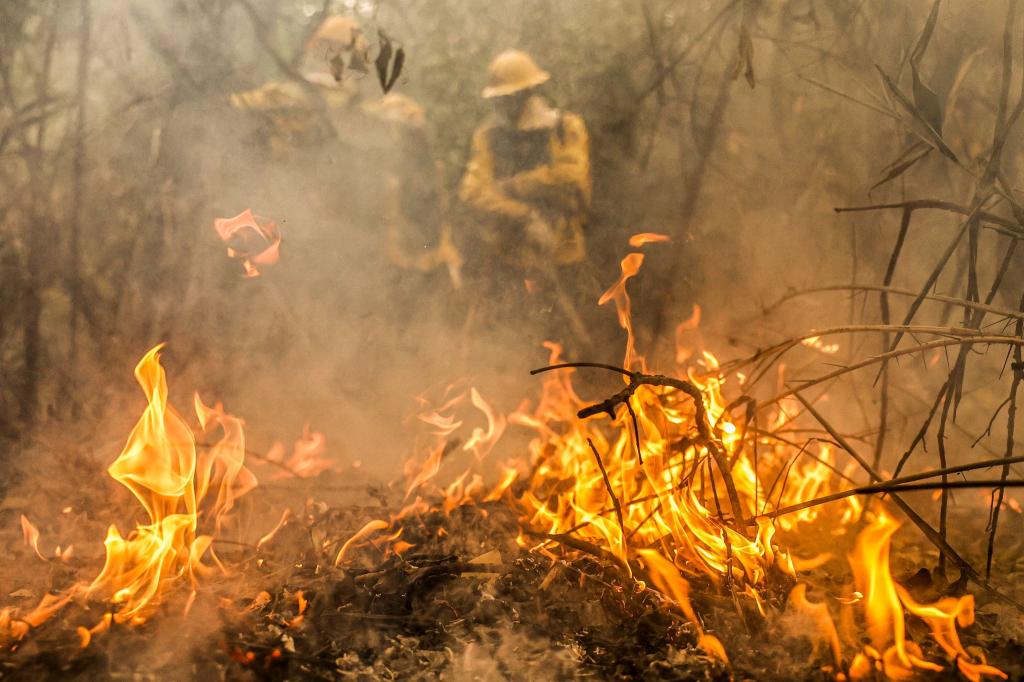 Feuerwehreinheiten bekämpfen die schlimmen Waldbrände im Pantanal. - Foto: Marcelo Camargo/Agencia Brazil/dpa