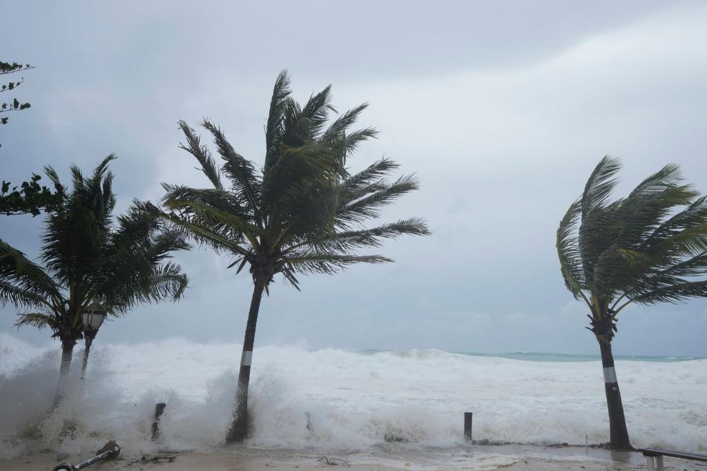 Hurrikan «Beryl» biegt die Palmen. - Foto: Ricardo Mazalan/AP/dpa