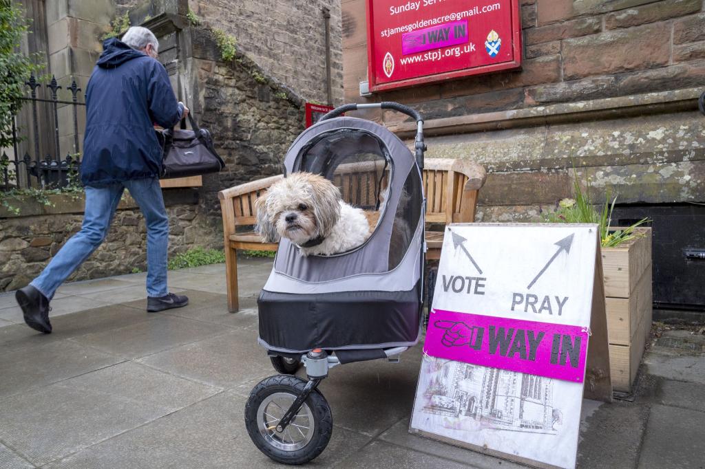 Die Menschen in Großbritannien gelten als besonders tierlieb und bringen ihre Hunde oft zum Wählen mit. - Foto: Jane Barlow/PA Wire/dpa