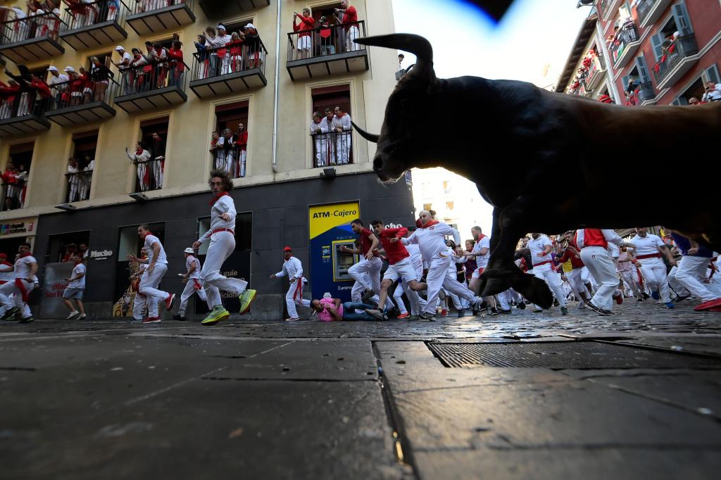 Die Stiere haben lange und spitze Hörner. - Foto: Alvaro Barrientos/AP/dpa
