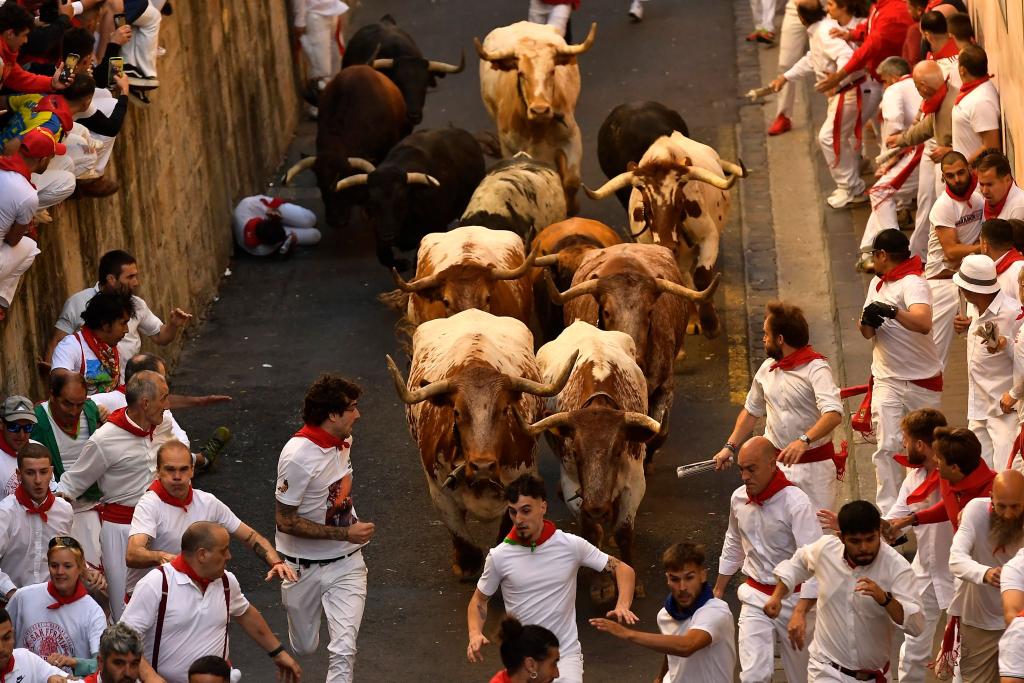 Kurz, heftig und gefährlich - so sind die Stierhatzen seit Jahrhunderten in Pamplona. - Foto: Alvaro Barrientos/AP