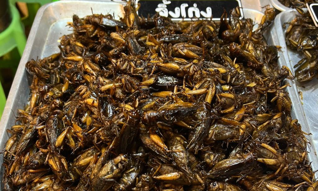 Insekten wie Würmer und Käfer gehören in Thailand bereits zum Straßenbild. (Archivbild) - Foto: Carola Frentzen/dpa