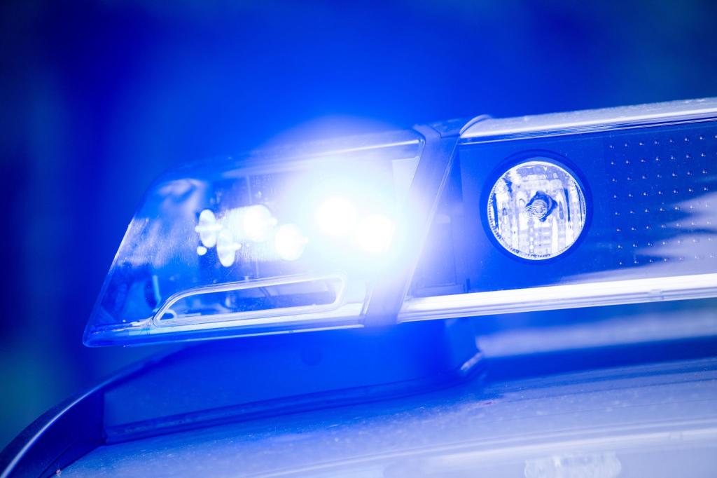 Ein Blaulicht leuchtet an einer Polizeistreife. In der Slowakei ist es zu einem Unglück mit zwei Toten gekommen. - Foto: Lino Mirgeler/dpa