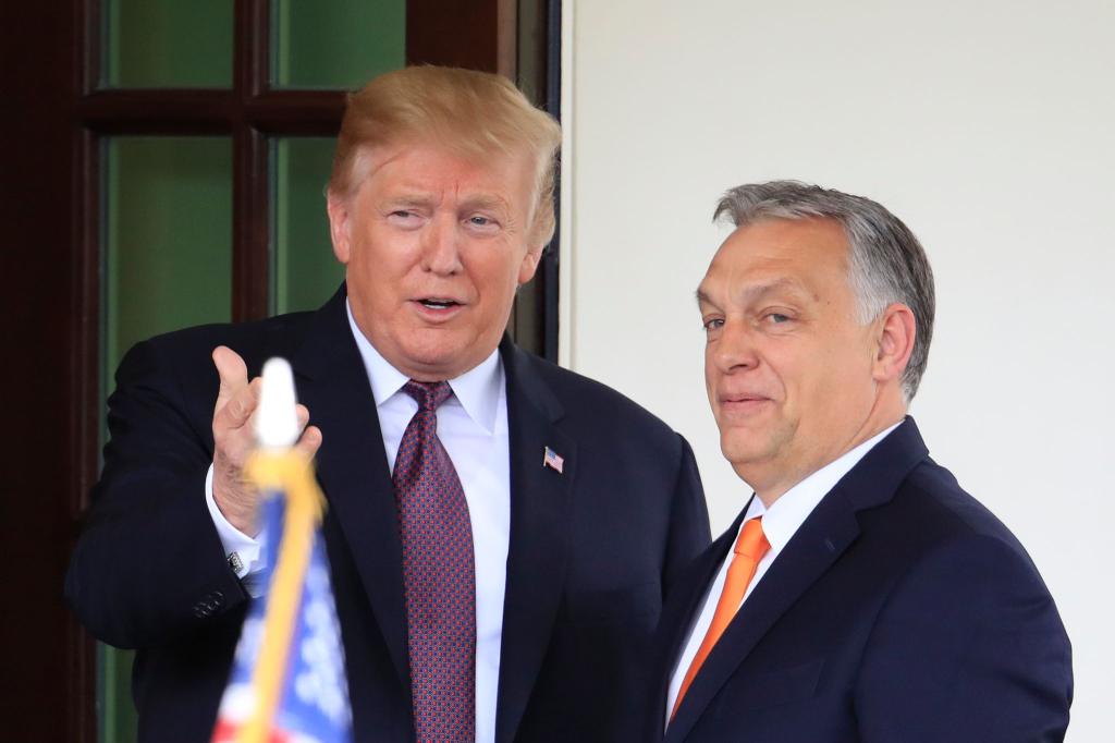 Trump gilt wie Orban als offen für Verhandlungen mit Russlands Präsident Wladimir Putin. - Foto: Manuel Balce Ceneta/AP/dpa