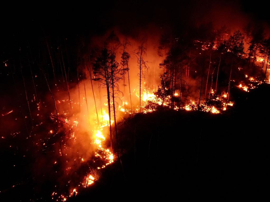 Hitzebrände toben in Bukgarien auch in diesem Sommer - Foto: Thomas Schulz/dpa-Zentralbild/dpa