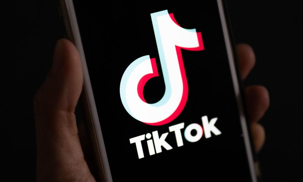 Im Streit über neue Regeln für Tech-Konzerne kassiert Tiktok vor dem EU-Gericht eine Schlappe. - Foto: Monika Skolimowska/dpa